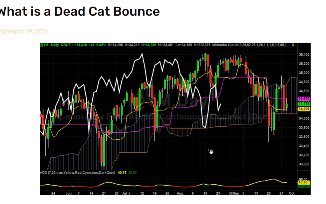 What is a Dead Cat Bounce