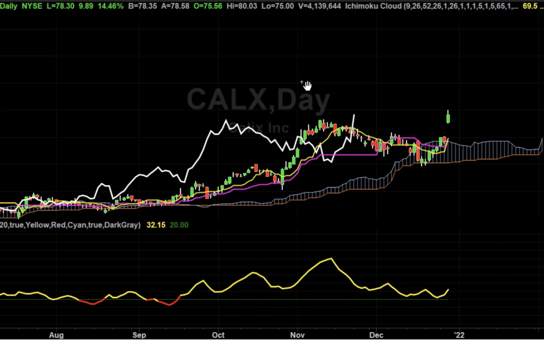 CALX 52 Week High That Could Go Higher