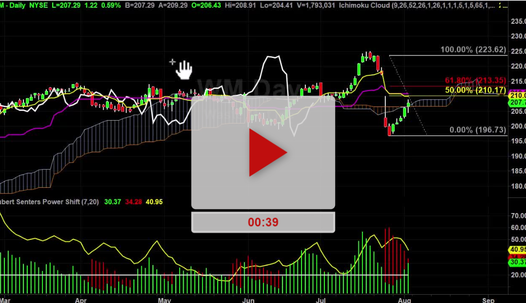 WM Stock Daily Chart Analysis Part 2