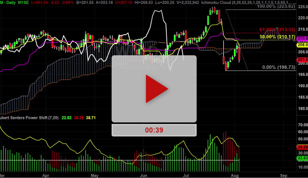 WM Stock hourly chart saved us