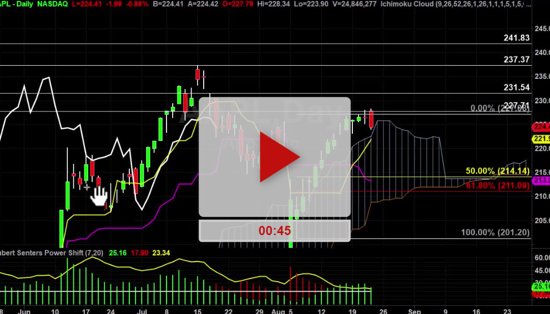 AAPL Stock What does the chart Look like